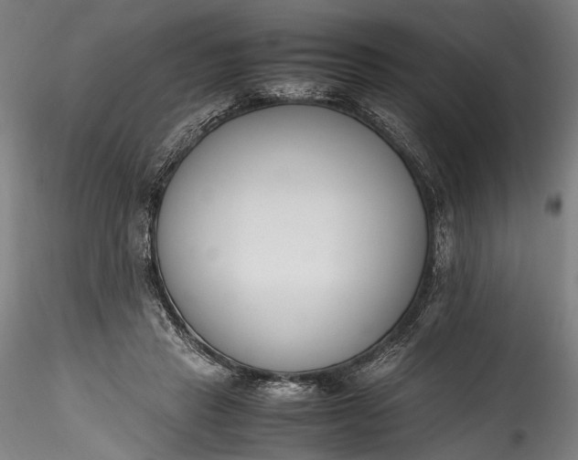 X0000115760453200911271120