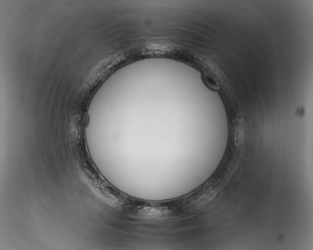 X0000115760455200911271120