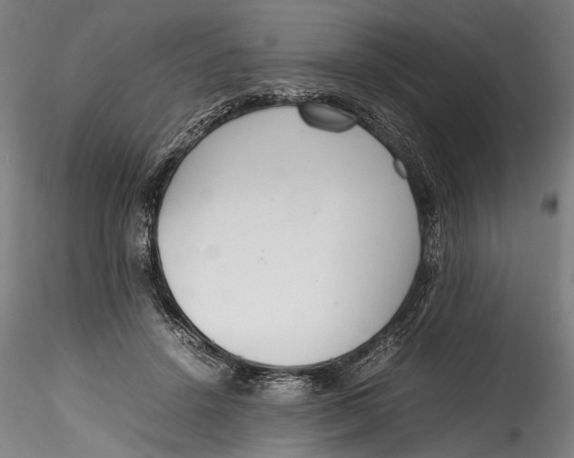 X0000115760456200911271120