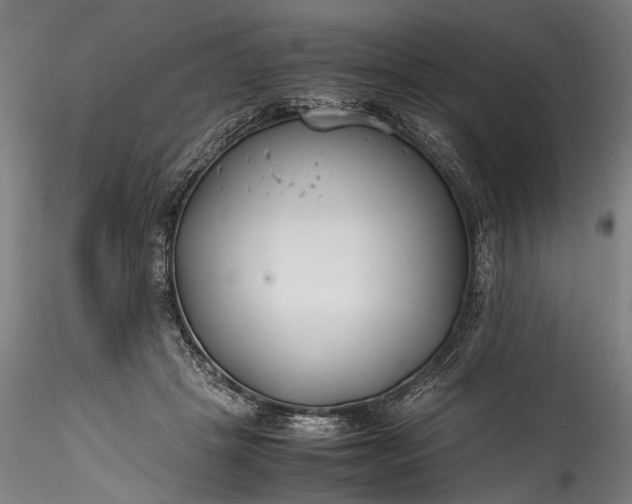 X0000115760457200911271120