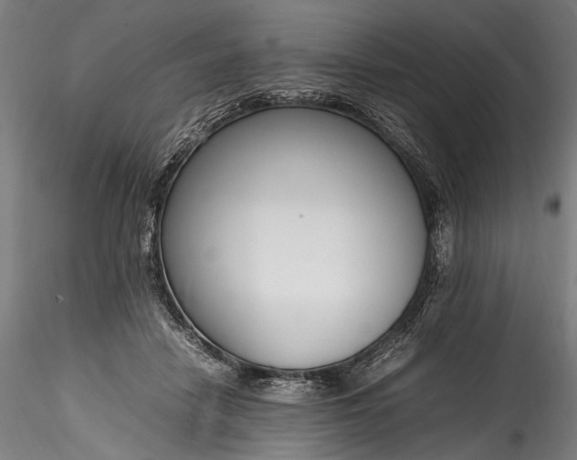 X0000115760458200911271120