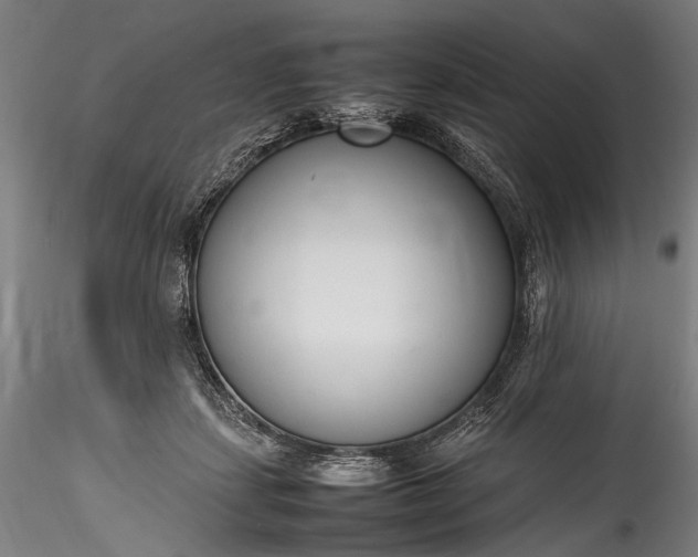 X0000115760459200911271121