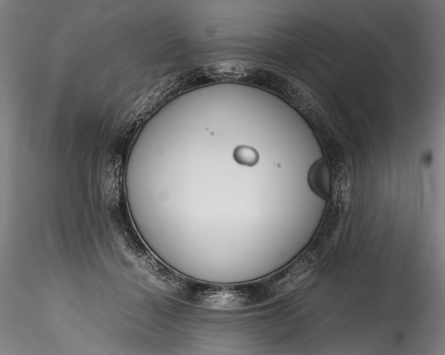 X0000115760460200911271121