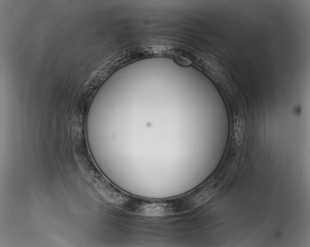 X0000115760461200911271121