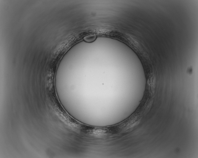 X0000115760462200911271121