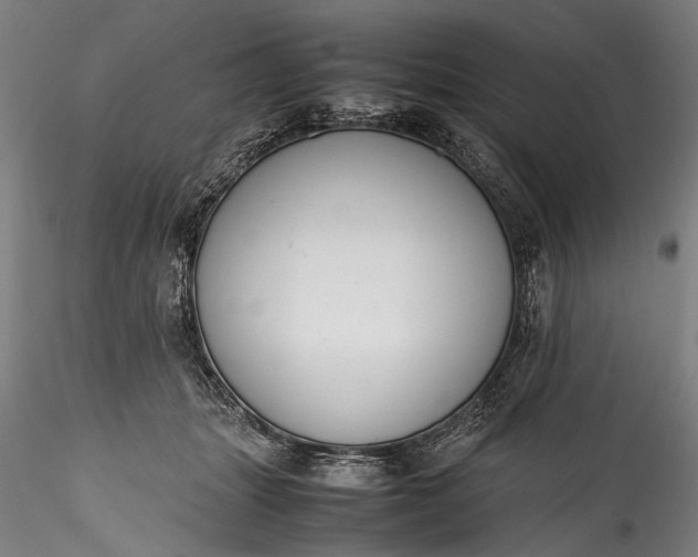 X0000115760463200911271121