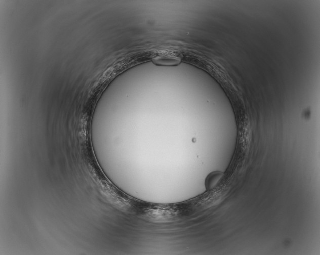 X0000115760466200911271121