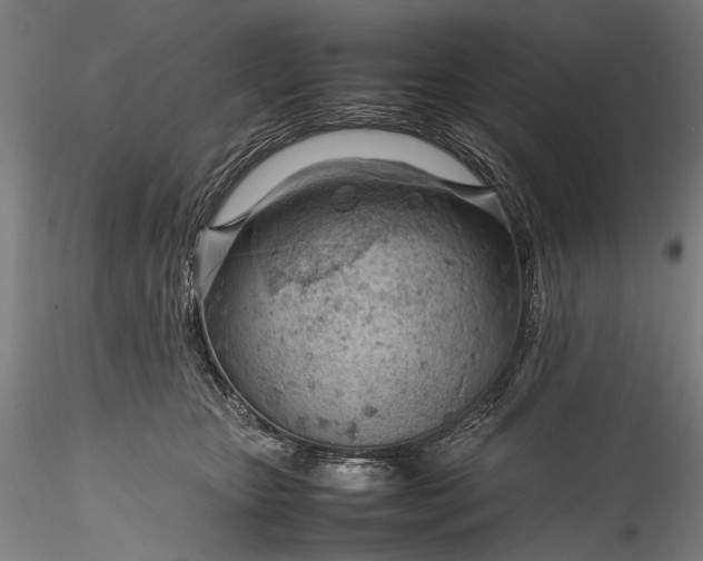 X0000115760467200911271121