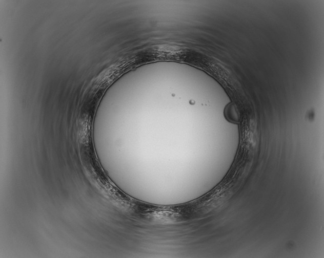 X0000115760468200911271121