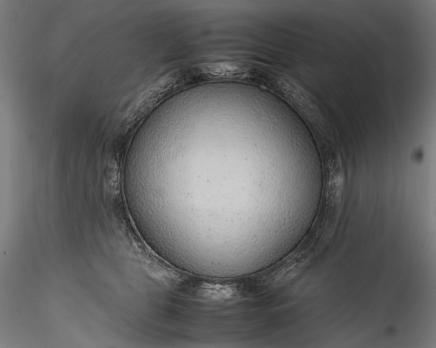 X0000115760469200911271121