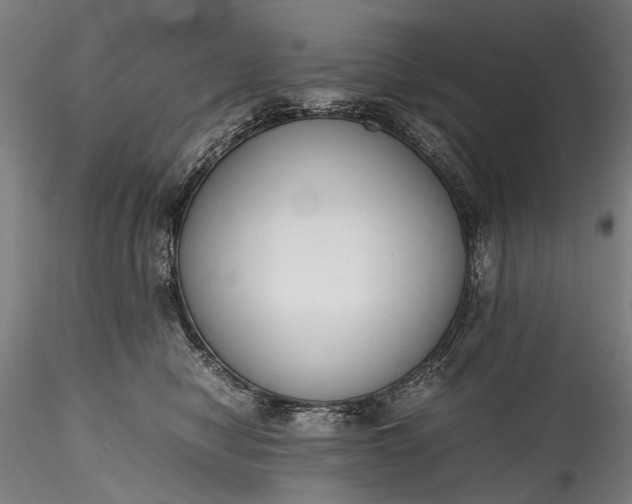 X0000115760470200911271121