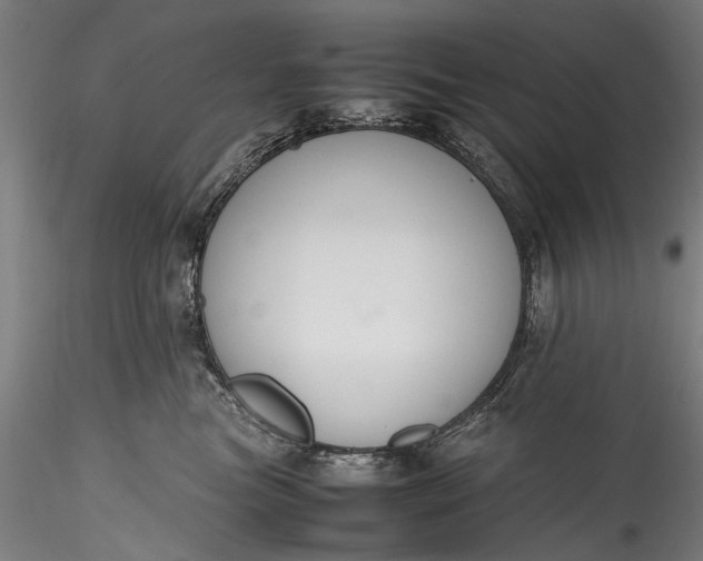 X0000115760473200911271121