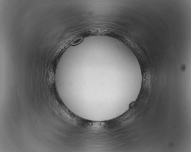 X0000115760474200911271121