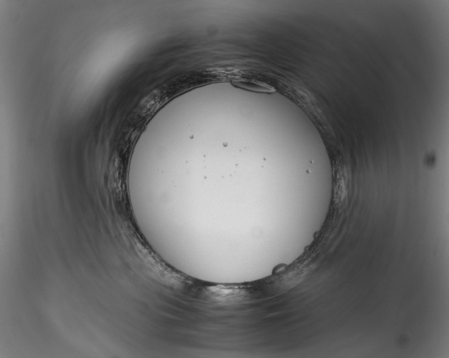 X0000115760477200911271121