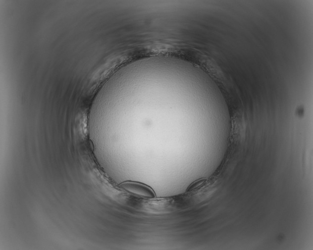 X0000115760479200911271121