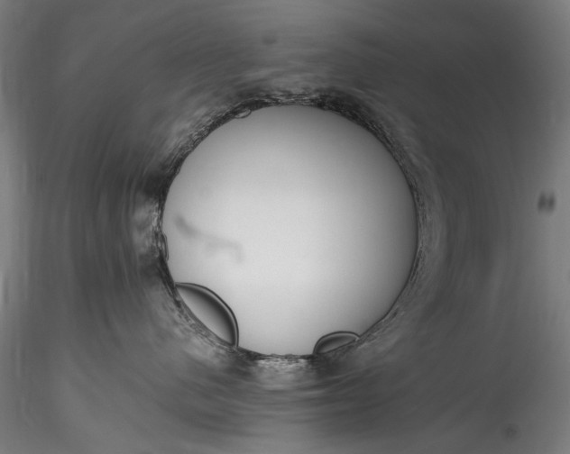 X0000115760480200911271121