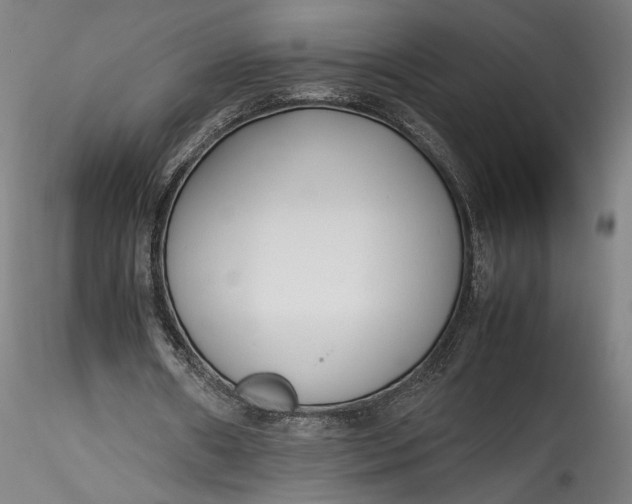 X0000115760482200911271120