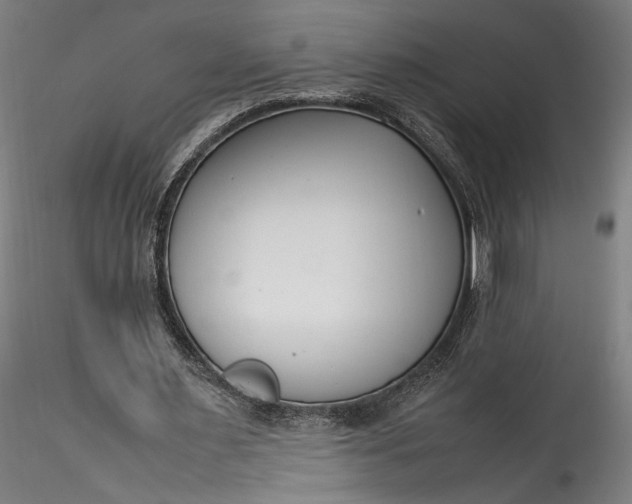 X0000115760483200911271120