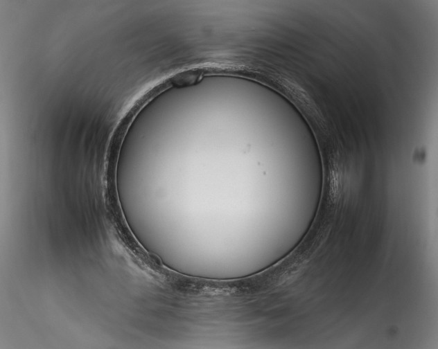 X0000115760484200911271120