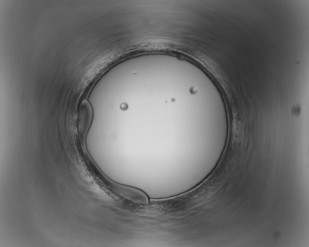 X0000115760485200911271120