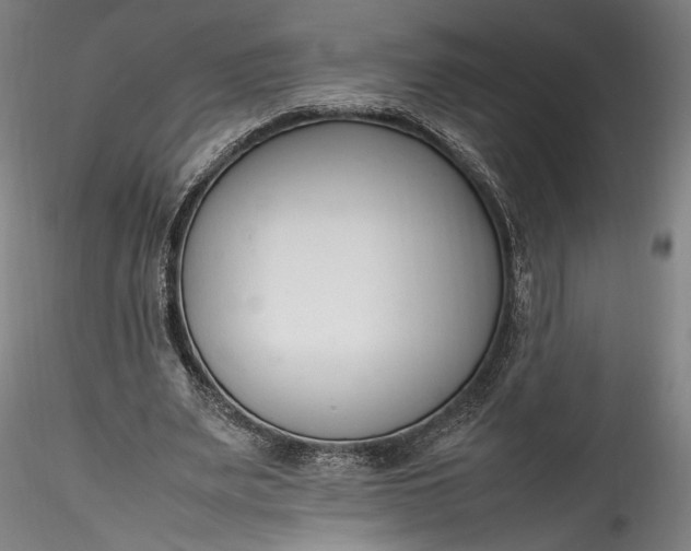 X0000115760487200911271120