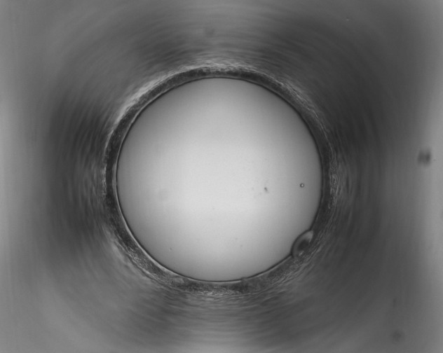 X0000115760488200911271120