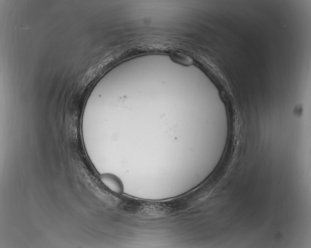 X0000115760489200911271120