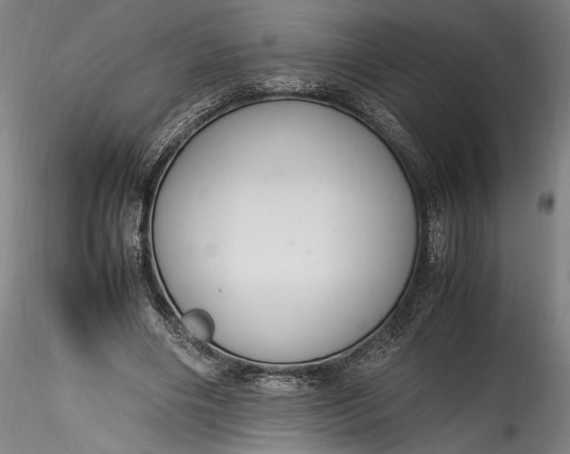 X0000115760490200911271120