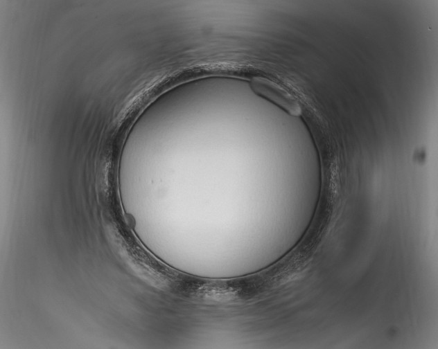 X0000115760491200911271120