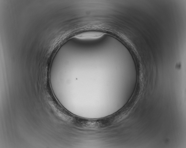 X0000115760493200911271120