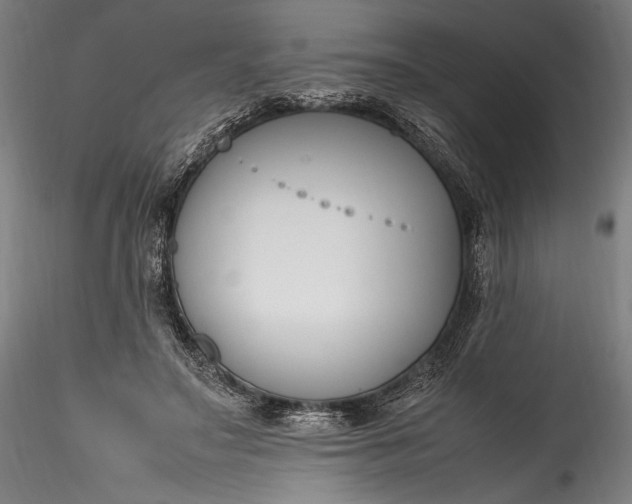 X0000115760499200911271120