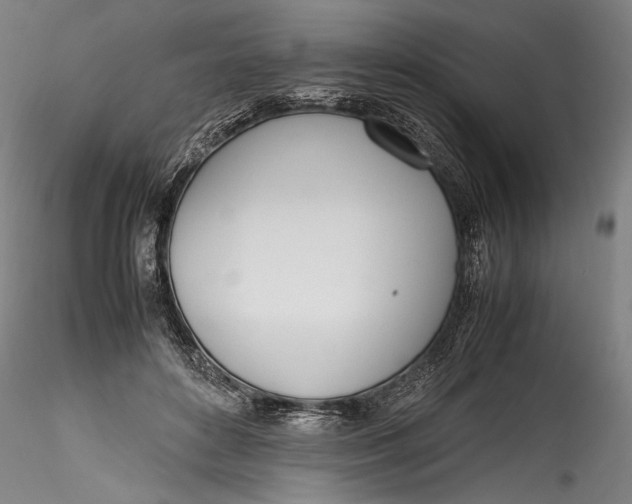 X0000115760504200911271120