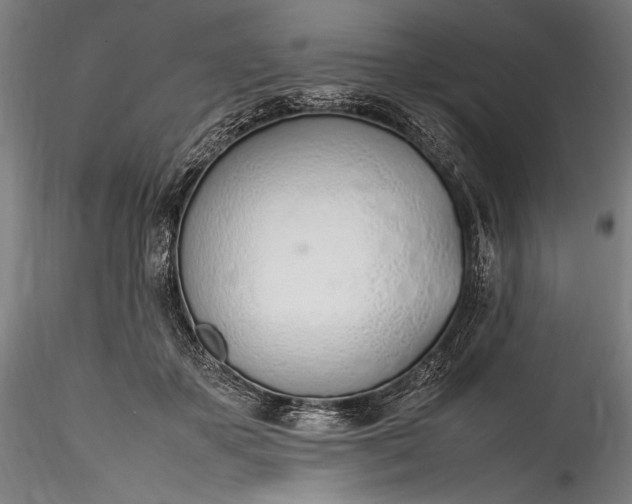 X0000115760507200911271120