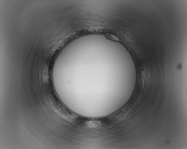 X0000115760508200911271120