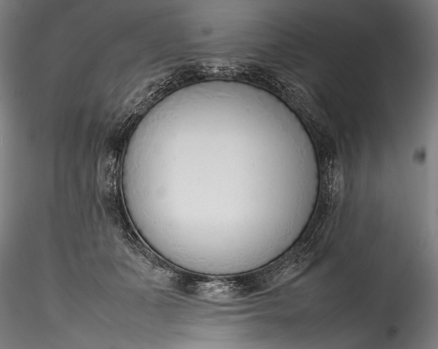 X0000115760511200911271120