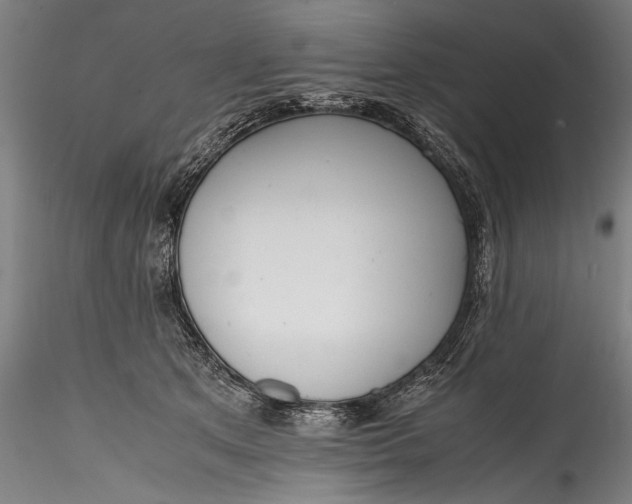 X0000115760513200911271120