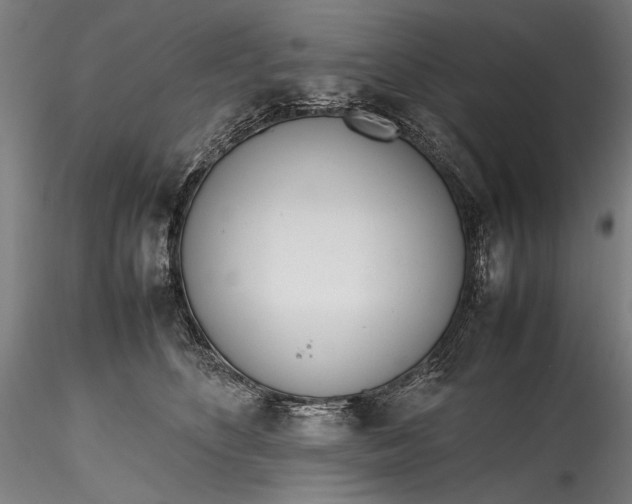 X0000115760516200911271120