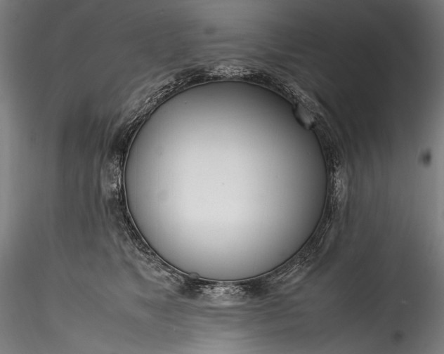 X0000115760517200911271120