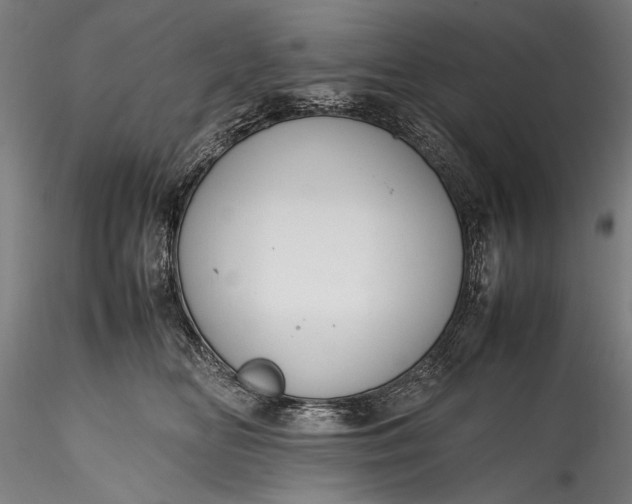 X0000115760518200911271120