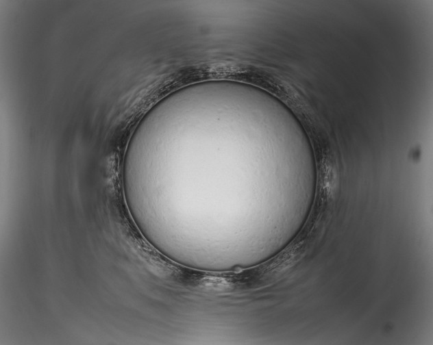 X0000115760519200911271120