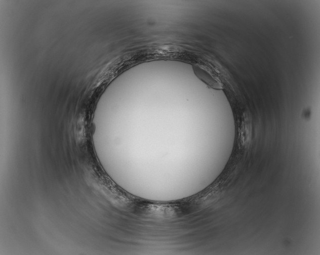 X0000115760520200911271120