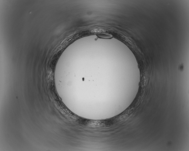 X0000115760521200911271120