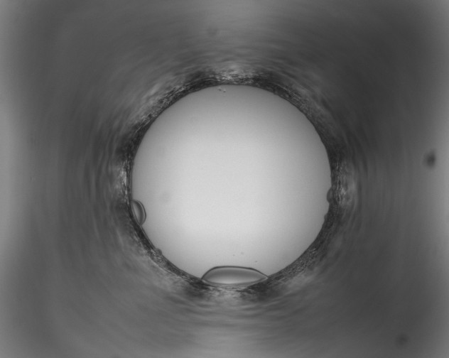 X0000115760523200911271120