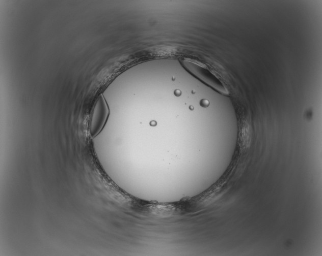 X0000115760525200911271120