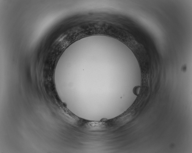 X0000115760526200911271120