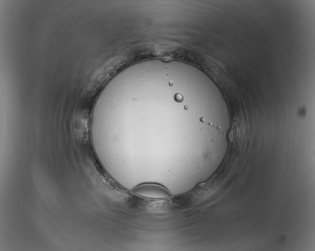 X0000115760527200911271119