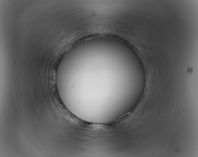 X0000115760528200911271119