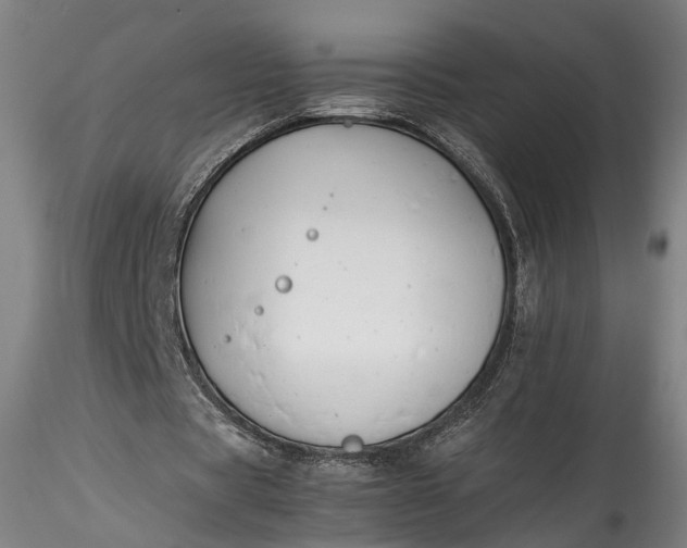 X0000115760529200911271119