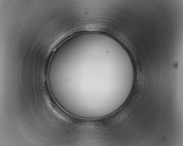 X0000115760530200911271119