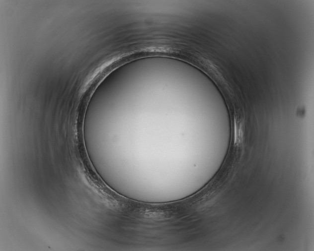 X0000115760531200911271119